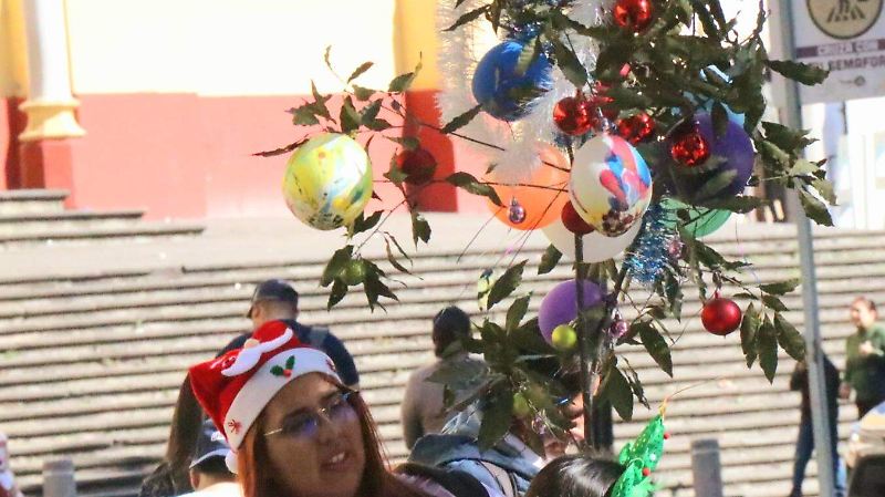 david- Rama Taekwondo